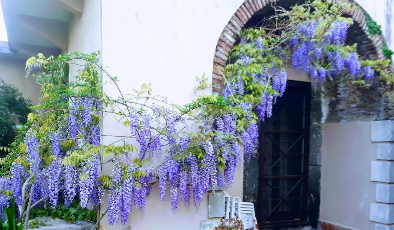 Villa Bouganville Viagrande