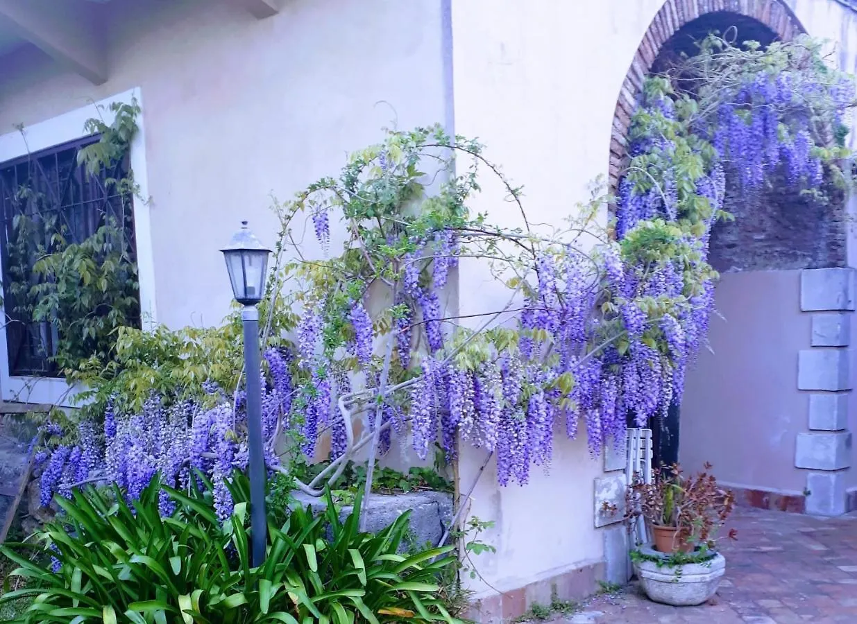 Villa Bouganville Viagrande