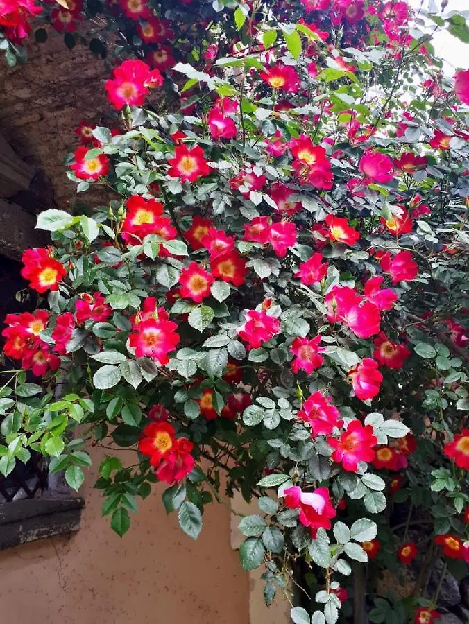 Villa Bouganville Viagrande Italy