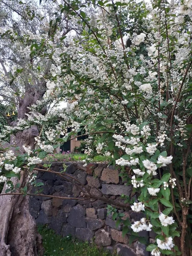 Villa Bouganville Viagrande